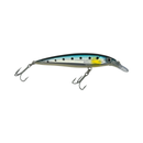 RAPALA X-RAP SALTWATER 12
