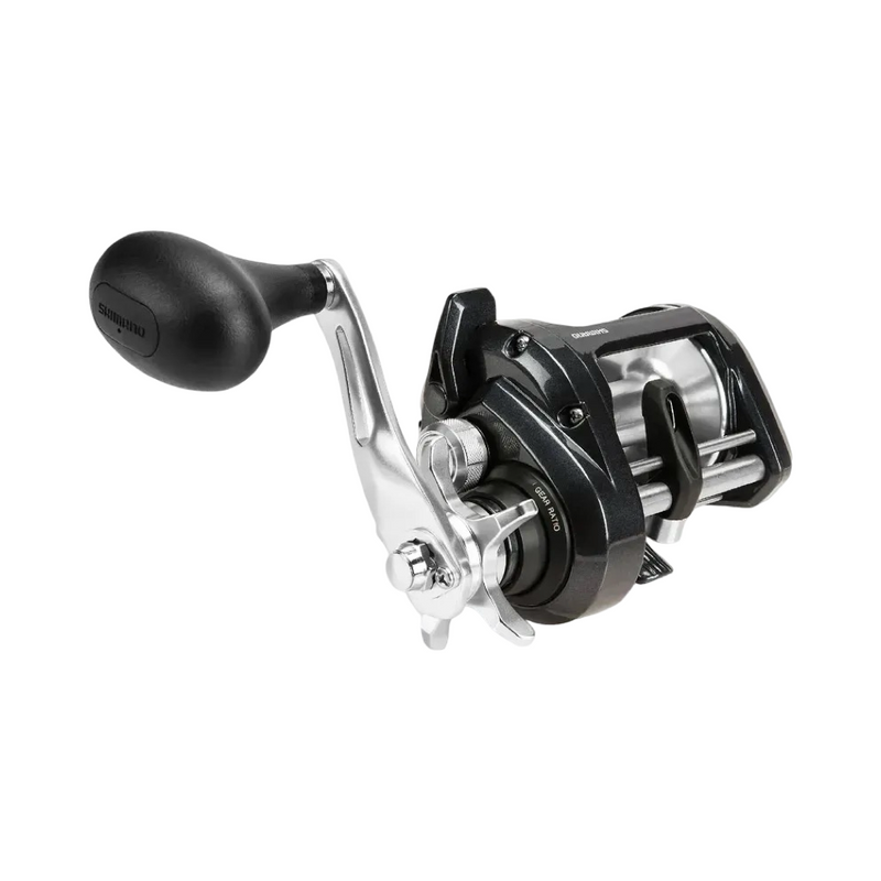 CARRETILHA SHIMANO TEKOTA 800PG ( DIREITA)