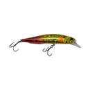 DUO REALIS JERKBAIT 100SP