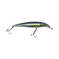 RAPALA X-RAP SALTWATER 12
